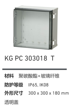 KG 303018 壁挂防水控制箱 产品图