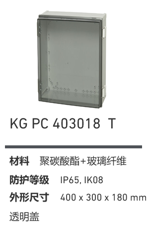 KG 403018 壁挂防水控制箱 产品图